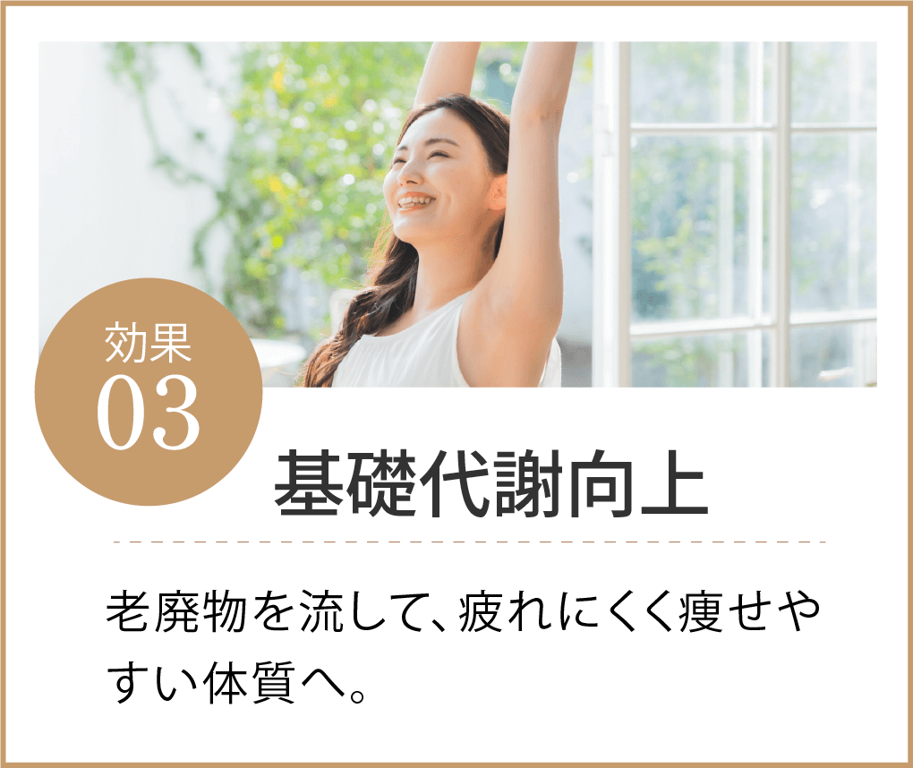 基礎代謝向上